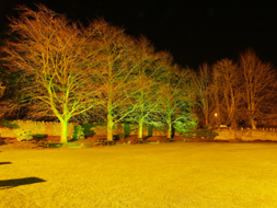 Avon Paranormal Team - The Bear of Rodborough